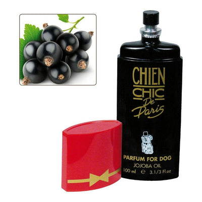 Chien Chic Parfüm Für Haustiere Chien Chic Hund Schwarze Johannisbeere 100 Ml