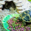 Happy Pet Glückliche Haustierkrippe Grün Blatt Grün