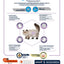 Advance Katzensterilisierter Haarballen