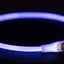Trixie Leuchtkragen Usb Blitzlicht Wiederaufladbar Tpu Blau