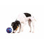 Trixie Hundespielzeug Trixie Kunststoff Snacks