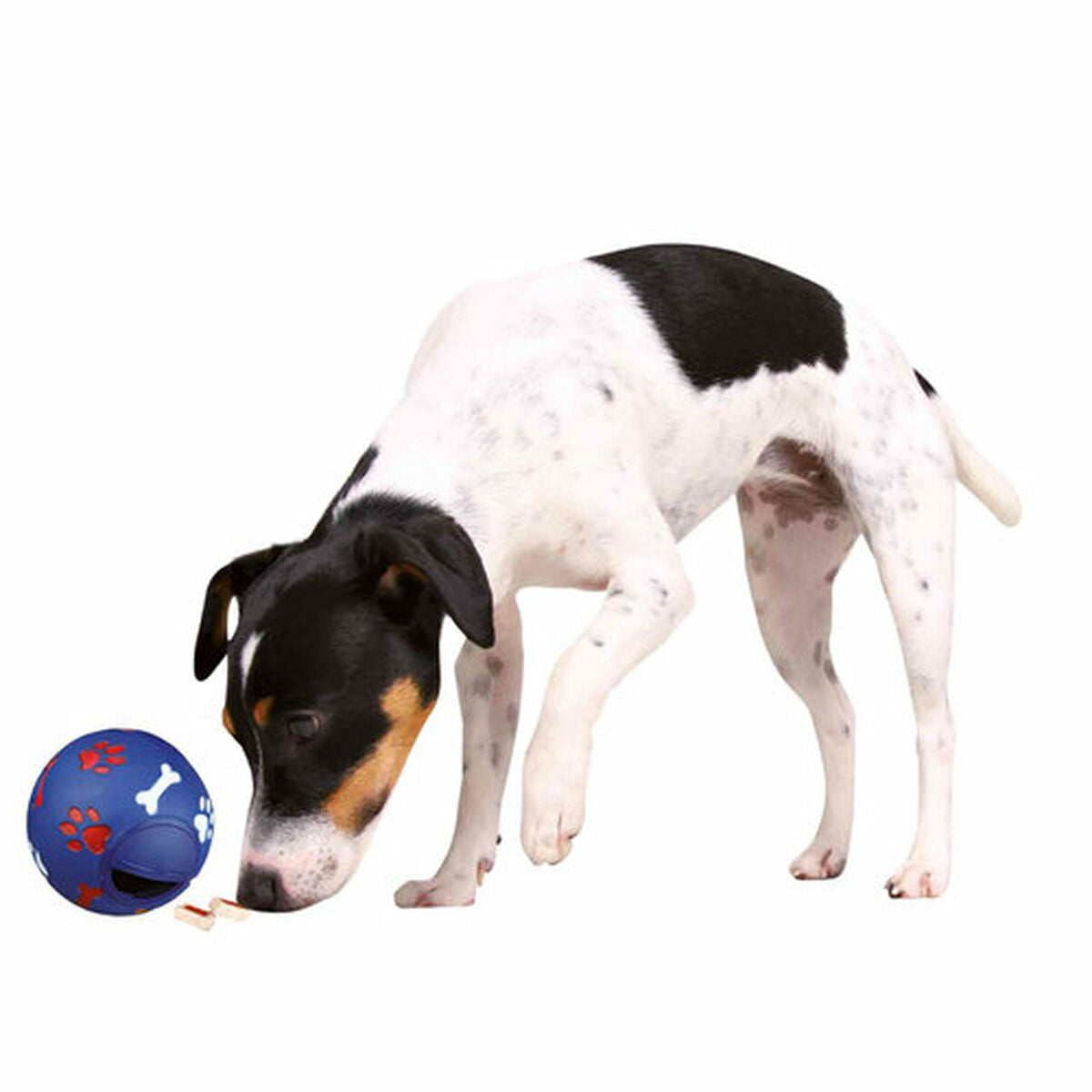 Trixie Hundespielzeug Trixie 3492 Blau Kunststoff Innen/Außenbereich