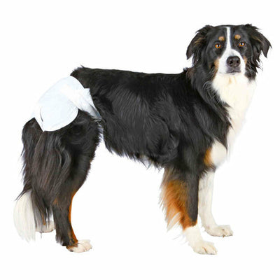Trixie Windeln Trixie Tx-23636 Xl