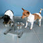 Trixie Futternapf Für Hunde Trixie