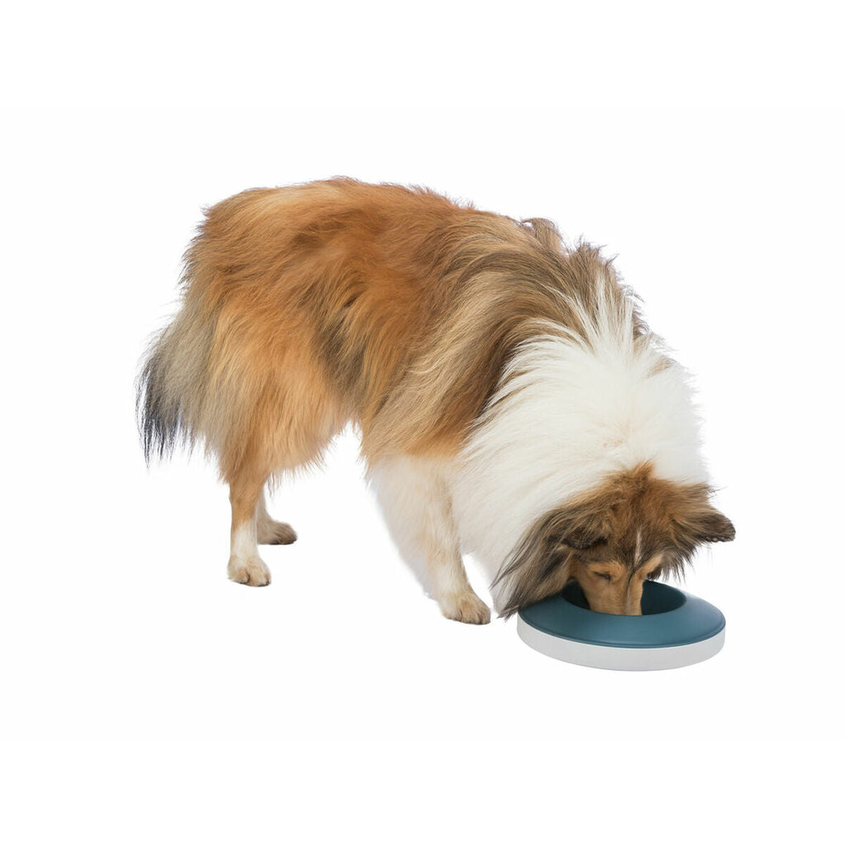 Trixie Futternapf Für Hunde Trixie Slow Feeding Blau Grau Kautschuk Kunststoff Tpr Ø 23 Cm 500 Ml