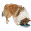 Trixie Futternapf Für Hunde Trixie Slow Feeding Blau Grau Kautschuk Kunststoff Tpr Ø 23 Cm 500 Ml
