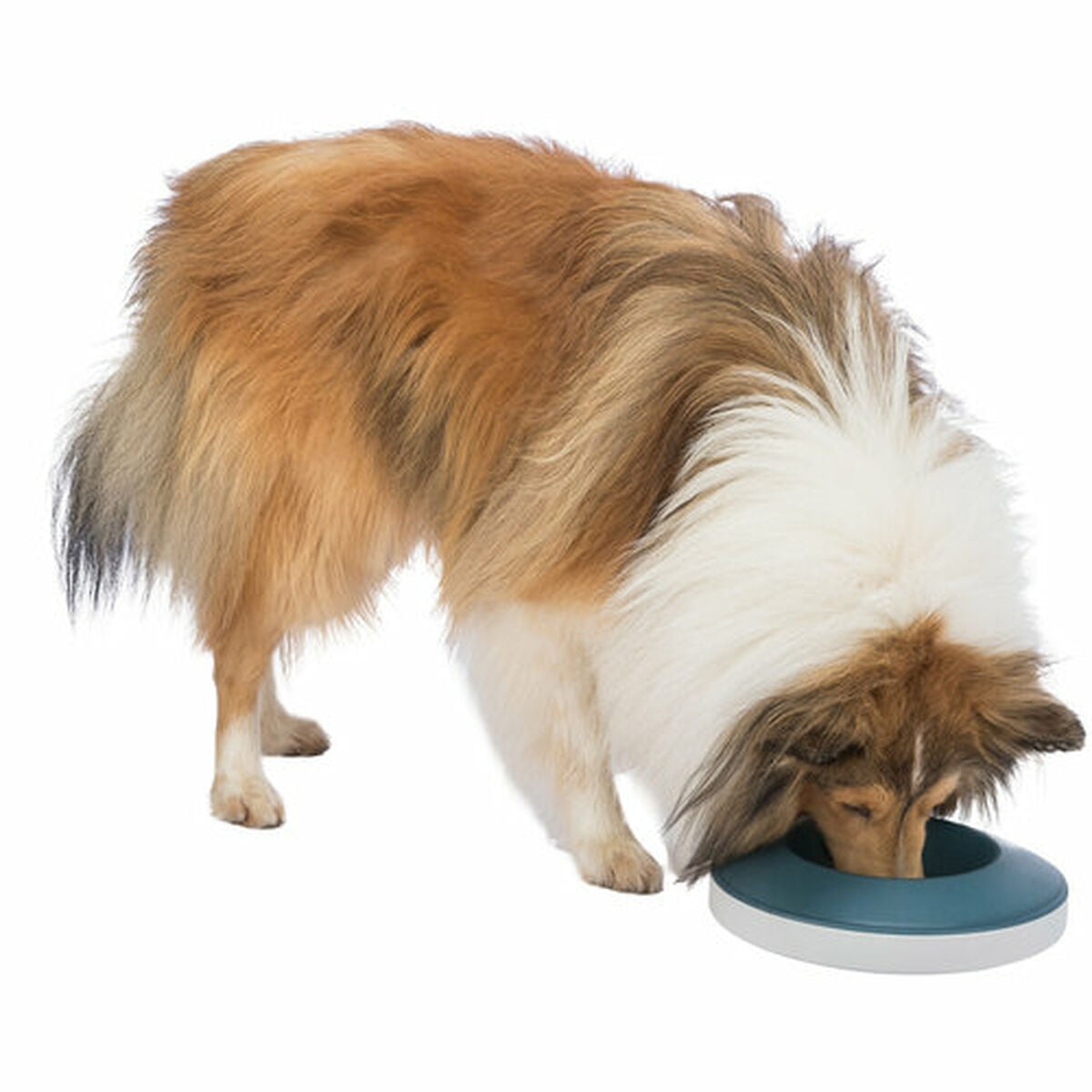 Trixie Futternapf Für Hunde Trixie Slow Feeding Blau Grau Kautschuk Kunststoff Tpr Ø 23 Cm 500 Ml