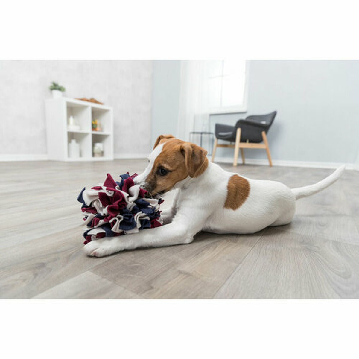 Trixie Hundespielzeug Trixie Polyester Ø 15 Cm