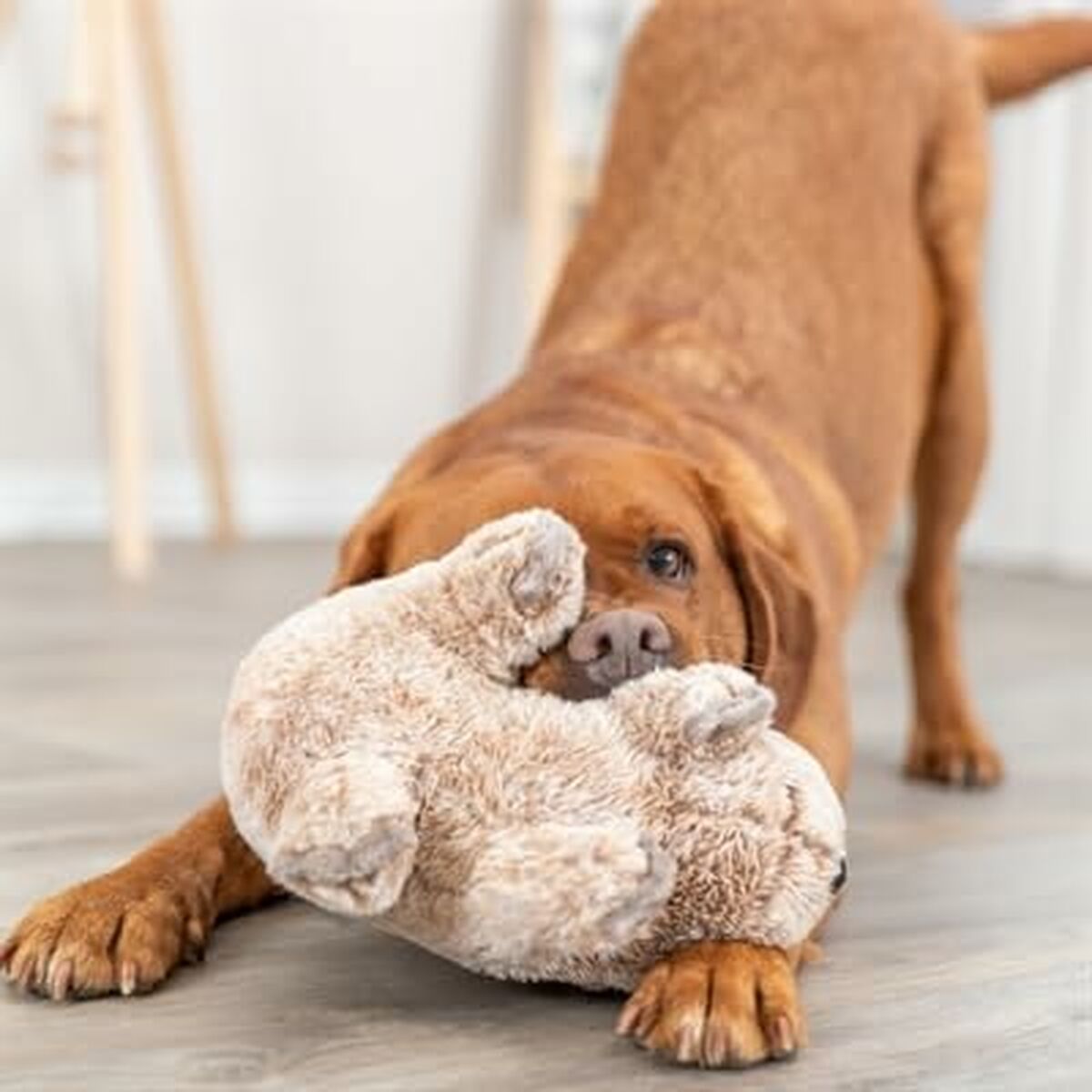 Trixie Kuscheltier Für Hunde Trixie Polyester Plüsch Koala 25 Cm