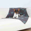 Trixie Decke Für Haustiere Trixie Beany Taupe 100 × 70 Cm