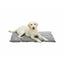 Trixie Decke Für Haustiere Trixie Leni Grau Wildleder 100 × 70 Cm