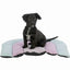 Trixie Matratze Trixie Rosa Minze Lila 68 X 62 Cm