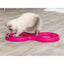 Trixie Katzenspielzeug Trixie Rosa Kunststoff 65 × 31 Cm