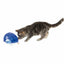 Trixie Katzenspielzeug Trixie Blau Weiß Kunststoff 19 × 13 × 14 Cm