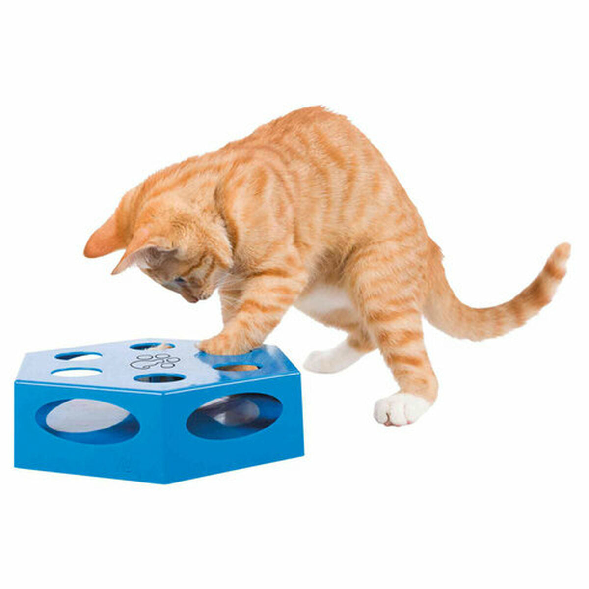 Trixie Katzenspielzeug Trixie Grau Kunststoff Ø 22 Cm