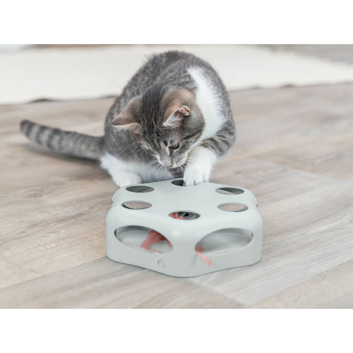 Trixie Katzenspielzeug Trixie Grau Kunststoff Ø 22 Cm