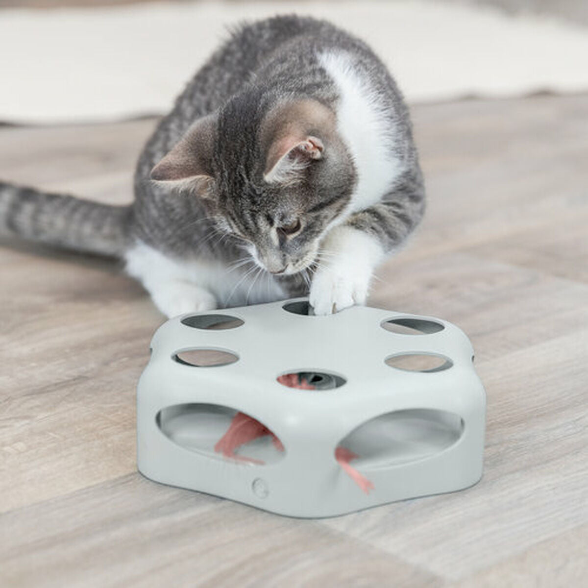 Trixie Katzenspielzeug Trixie Grau Kunststoff Ø 22 Cm