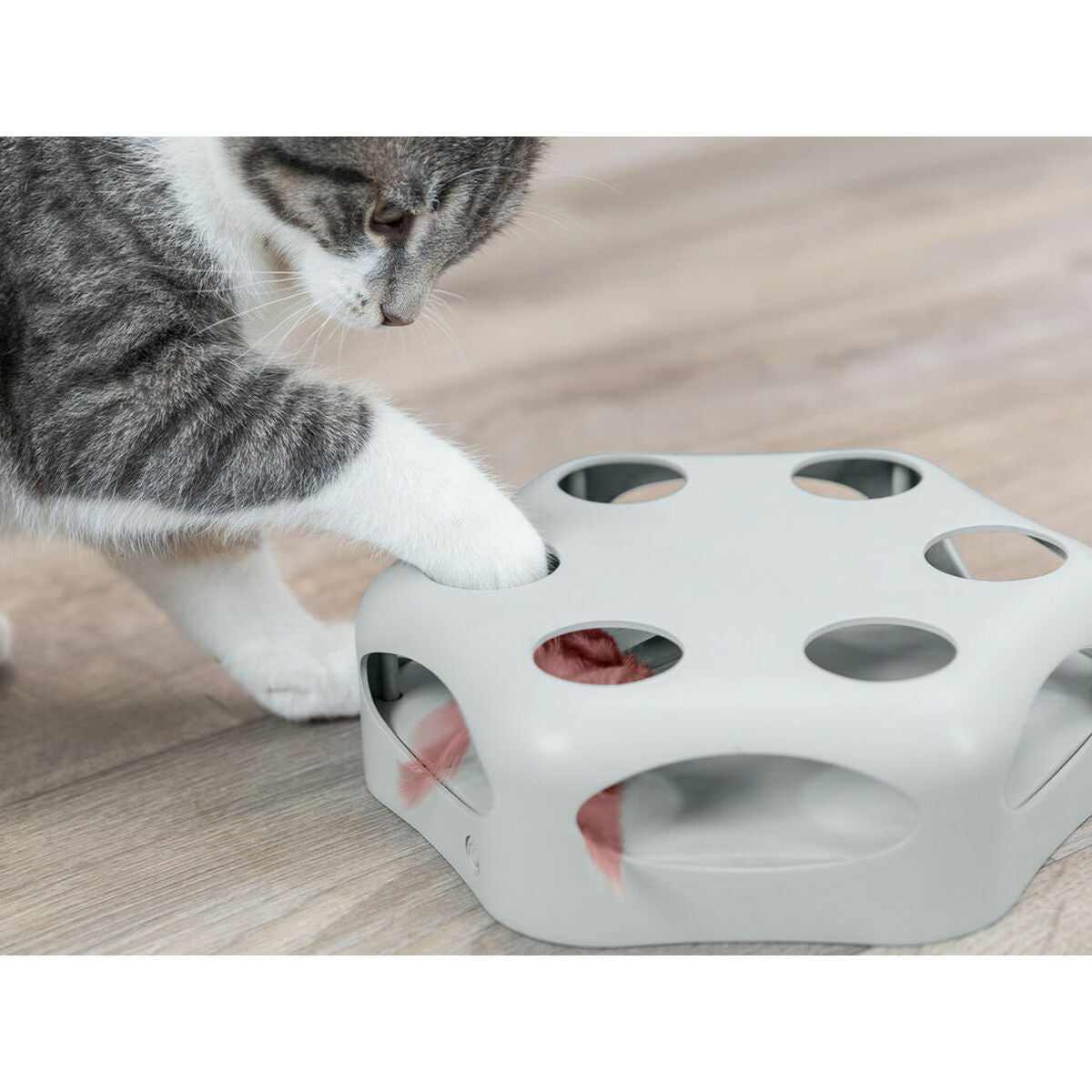 Trixie Katzenspielzeug Trixie Grau Kunststoff Ø 22 Cm