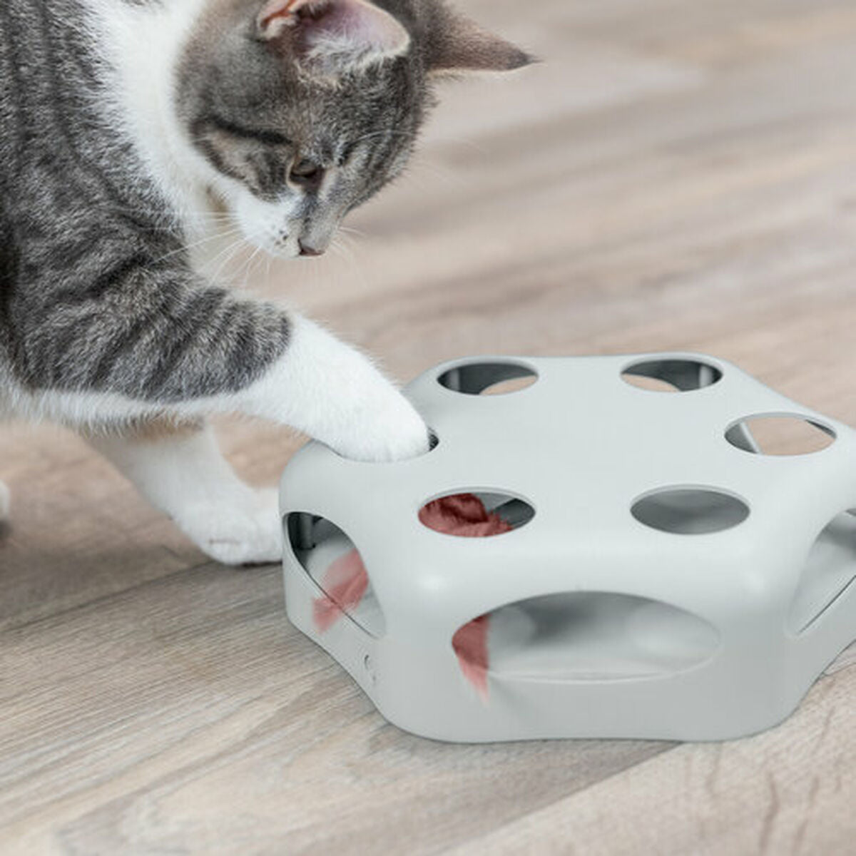Trixie Katzenspielzeug Trixie Grau Kunststoff Ø 22 Cm