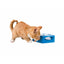 Trixie Katzenspielzeug Trixie Grau Kunststoff Ø 22 Cm