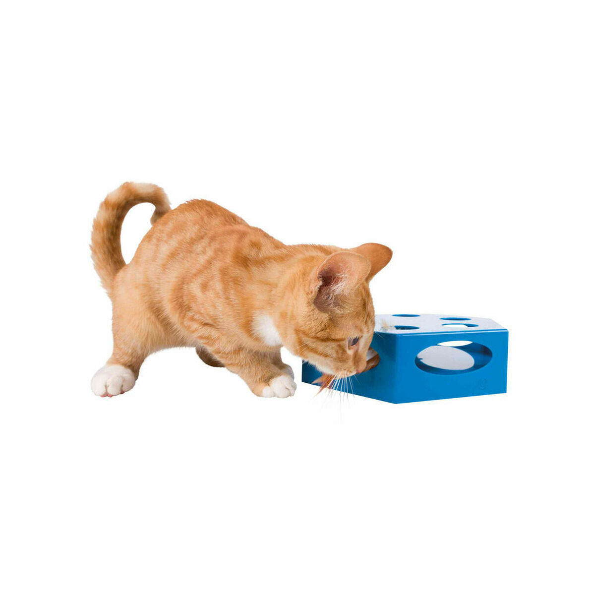 Trixie Katzenspielzeug Trixie Grau Kunststoff Ø 22 Cm