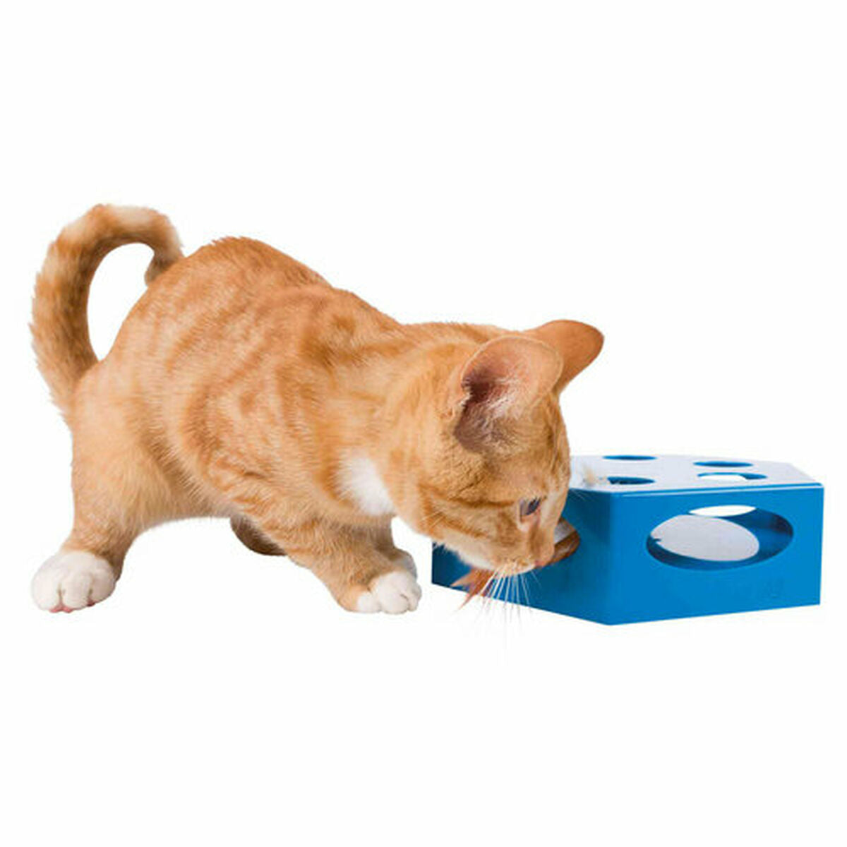 Trixie Katzenspielzeug Trixie Grau Kunststoff Ø 22 Cm