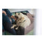Hunter Hundesofa Hunter Boston Braun 60 X 50 Cm