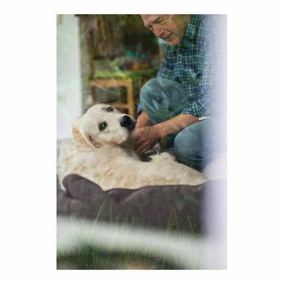 Hunter Hundesofa Hunter (Restauriert A)