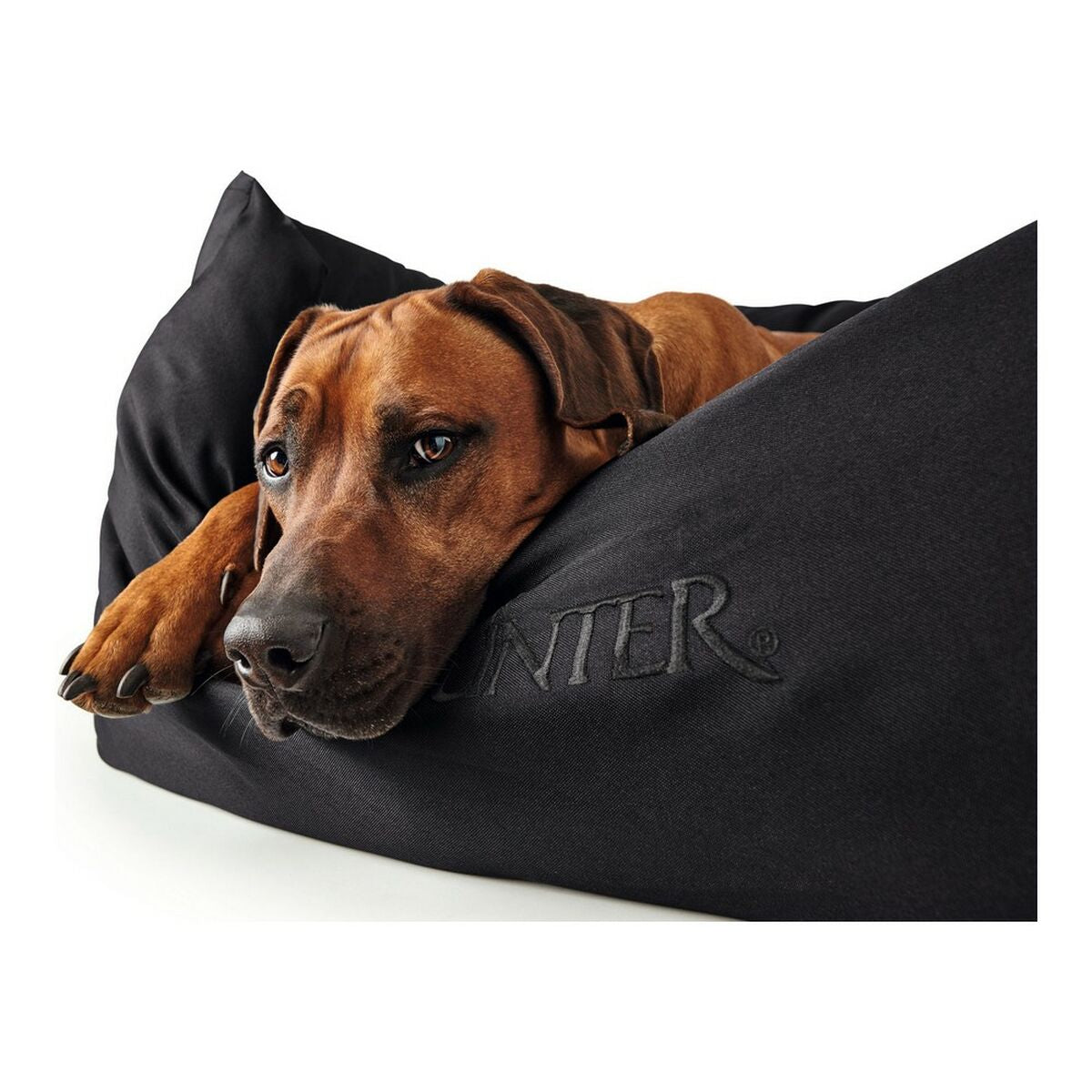 Hunter Hundesofa Hunter Gent Schwarz 80X60 Cm