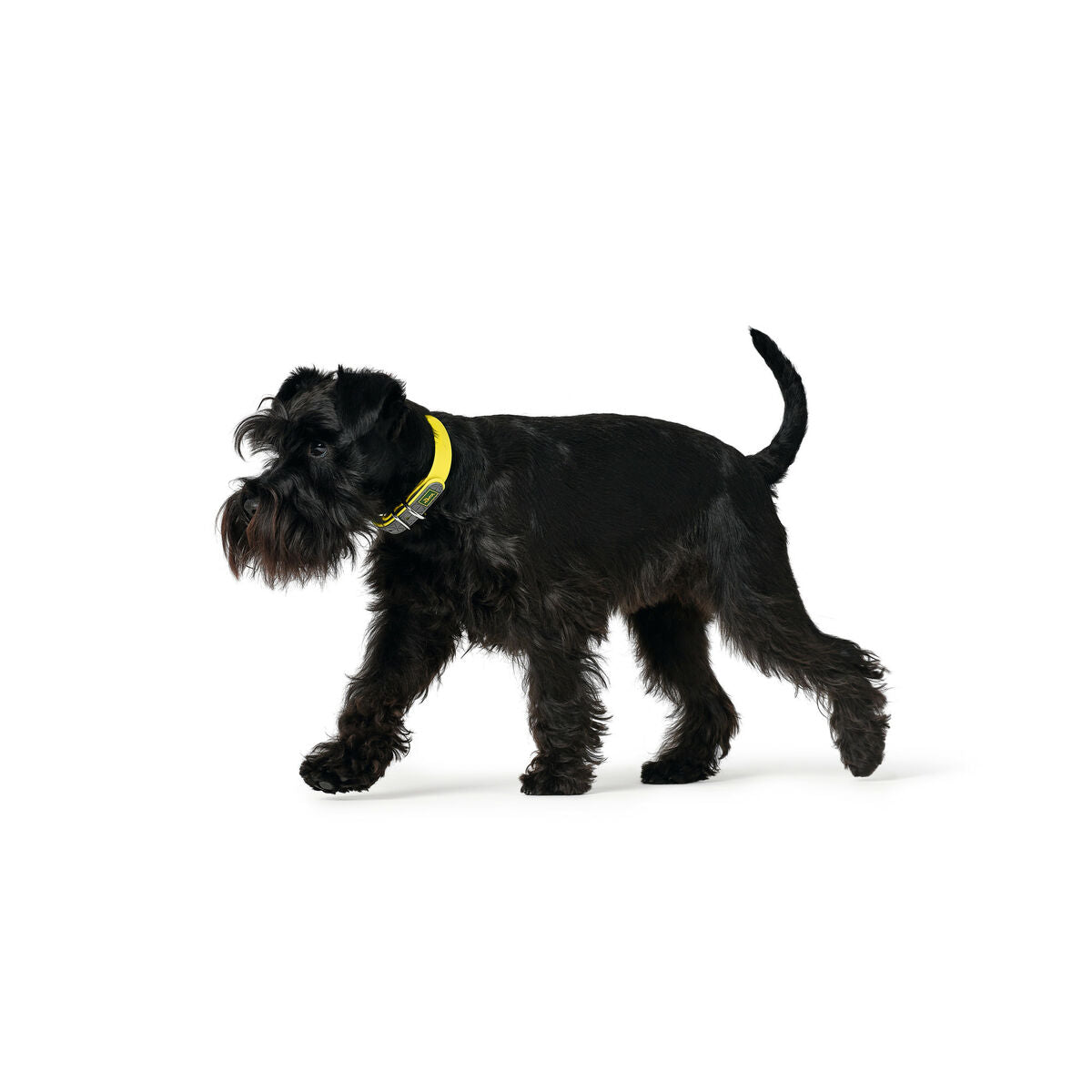 Hunter Hundehalsband Hunter Convenience 53-61 Cm L/Xl Gelb