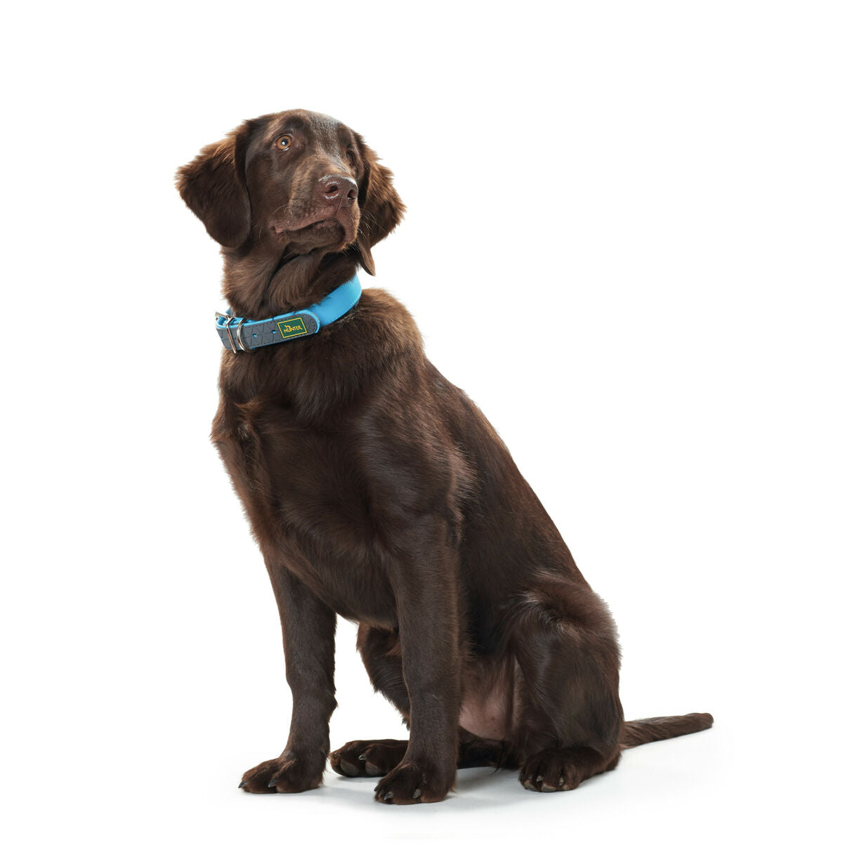 Hunter Hundehalsband Hunter Convenience 53-61 Cm L/Xl Türkis