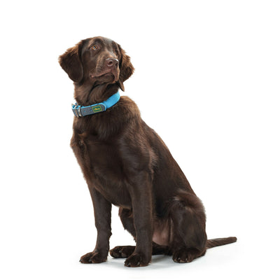 Hunter Hundehalsband Hunter Convenience 53-61 Cm L/Xl Türkis