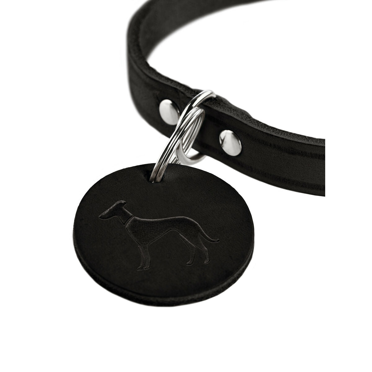 Hunter Hundehalsband Hunter Aalborg Schwarz S 32-38 Cm