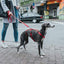 Hunter Hundegeschirr Hunter 48-70 Cm Rot S/M 36-51 Cm