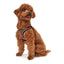 Hunter Hundegeschirr Hunter Hilo-Comfort Rot Xs (35-37 Cm)