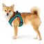 Hunter Hundegeschirr Hunter Hilo-Comfort Türkis Xs/S (37-42 Cm)