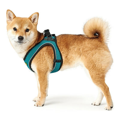 Hunter Hundegeschirr Hunter Hilo-Comfort Türkis Xs/S (37-42 Cm)