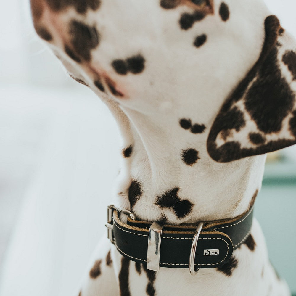Hunter Hundehalsband Hunter Aalborg Schwarz (24-30 Cm)