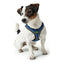 Hunter Hundegeschirr Hunter 35-37 Cm Blau Xs