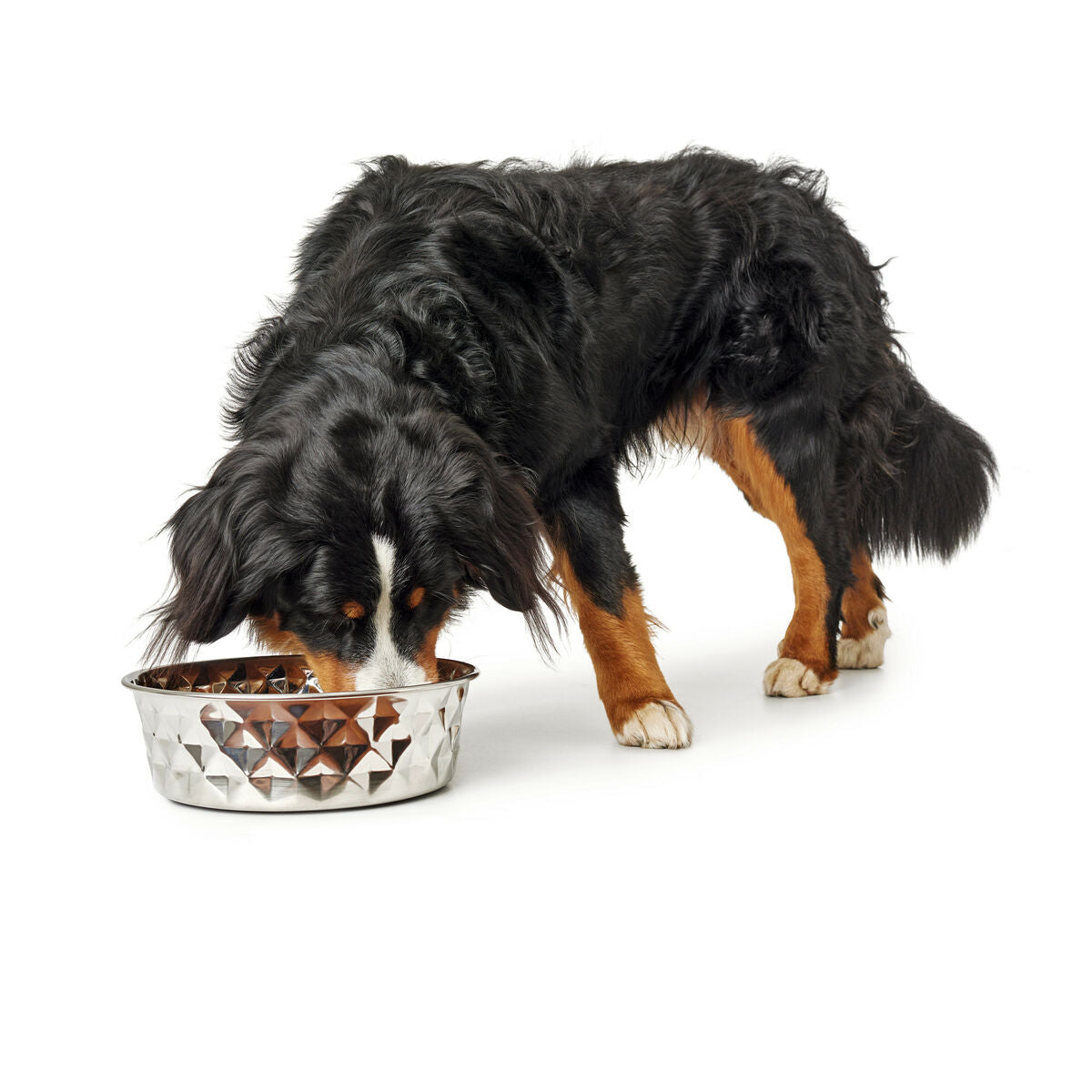 Hunter Futternapf Für Hunde Hunter Silikon Edelstahl 4,1 L