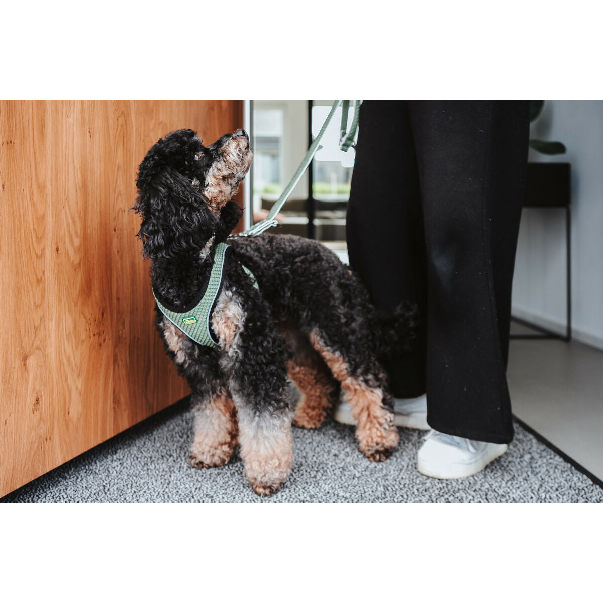 Hunter Hundegeschirr Hunter Comfort Grün Xs 35-37 Cm