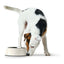 Hunter Futternapf Für Hunde Hunter Melamine Edelstahl Weiß 160 Ml (14,5 X 14,5 X 7 Cm)