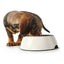 Hunter Futternapf Für Hunde Hunter Melamine Edelstahl Weiß 160 Ml (14,5 X 14,5 X 7 Cm)
