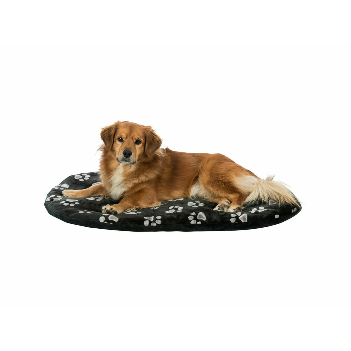 Trixie Hundebett Trixie Jimmy Schwarz 54 × 35 Cm