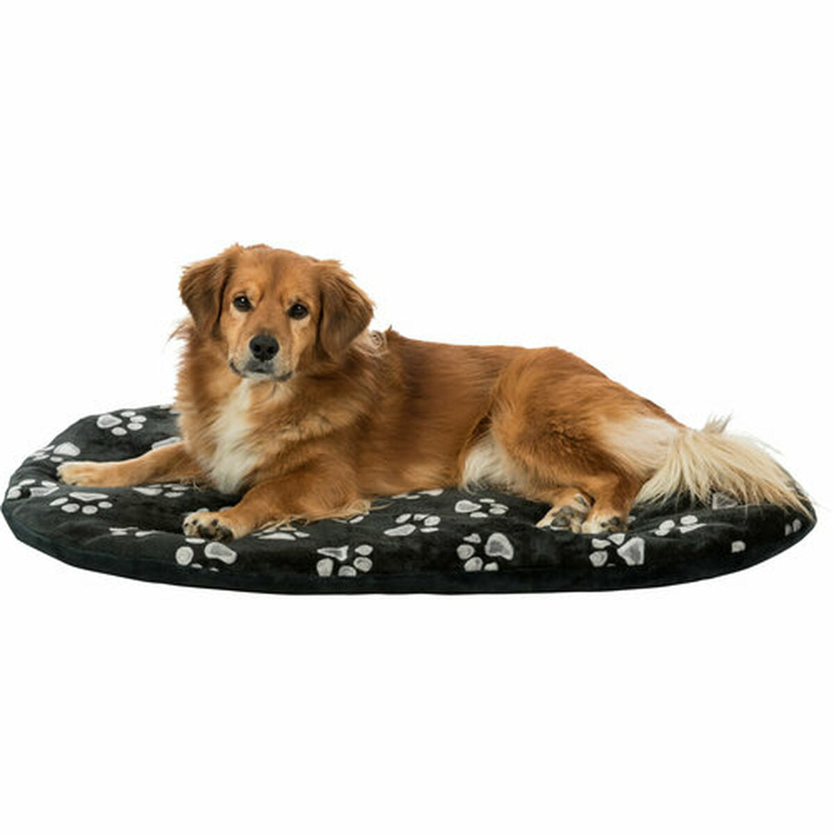 Trixie Hundebett Trixie Jimmy Schwarz 54 × 35 Cm