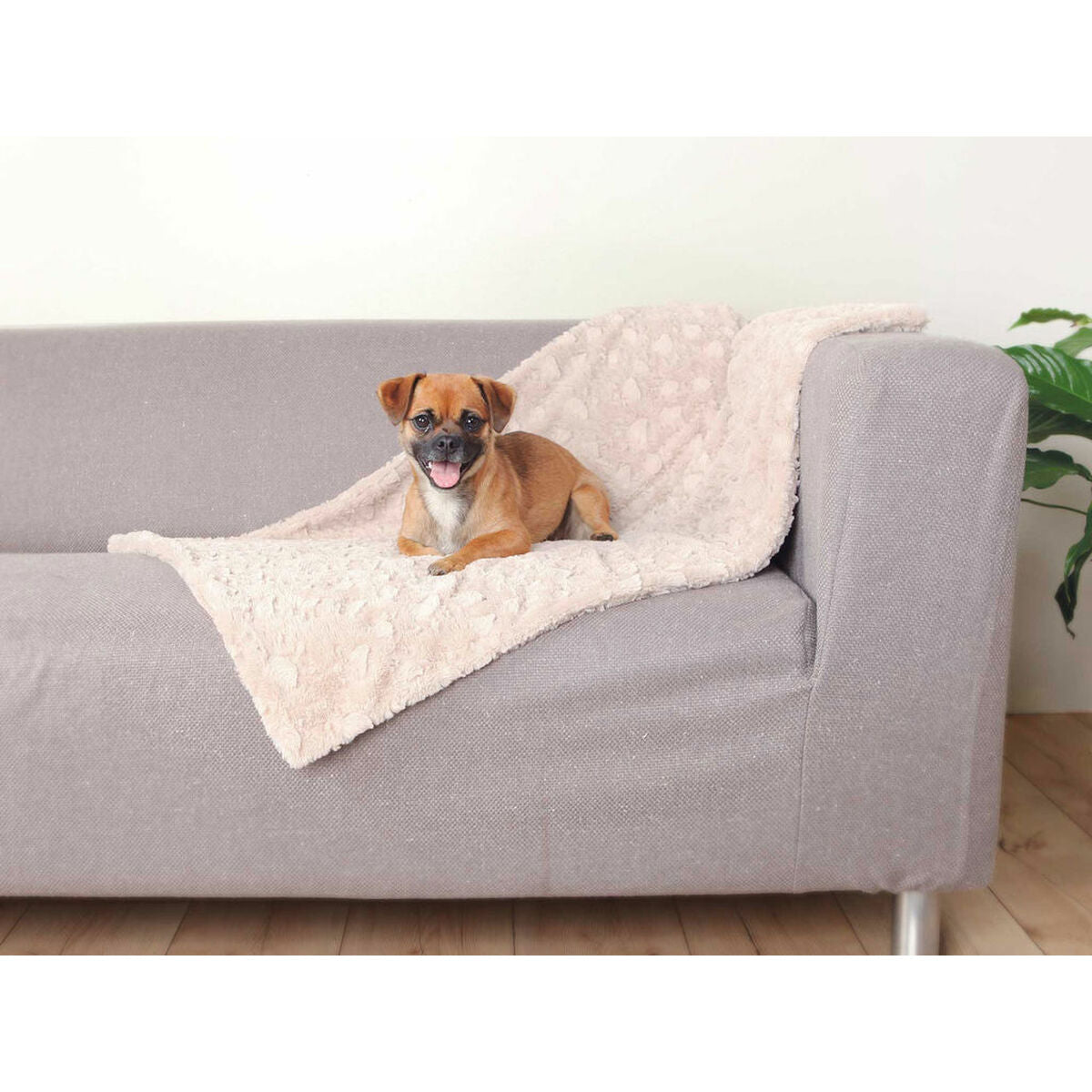 Trixie Decke Für Haustiere Trixie Cosy Beige Plüsch 70 × 50 Cm