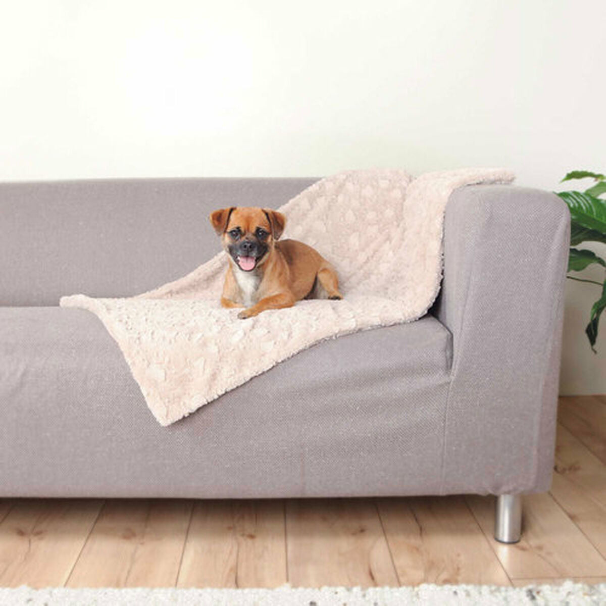 Trixie Decke Für Haustiere Trixie Cosy Beige Plüsch 70 × 50 Cm
