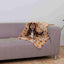 Trixie Decke Für Haustiere Trixie Laslo Beige 100 × 70 Cm
