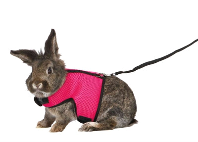 Trixie Softgeschirr Mit Leine Grosse Kaninchen Sortiert
