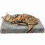 Trixie Hundebett Trixie Vital Lonni Grau 50 × 35 Cm